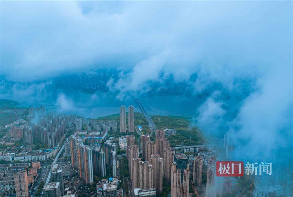 博悦官网注册